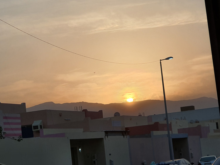 متجر ملهي شراحيلي